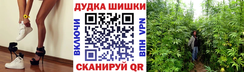 Виды наркоты Петров Вал ГАШИШ Alpha-PVP Меф мяу мяу Каннабис Псилоцибиновые грибы Cocaine
