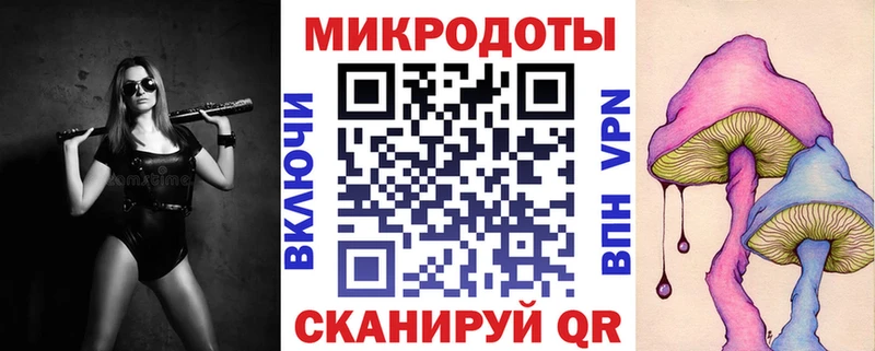 купить наркотики цена  Петров Вал  Галлюциногенные грибы мицелий 